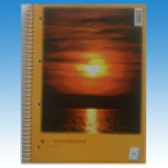 1 Collegblock A4, liniert, 140 Seiten